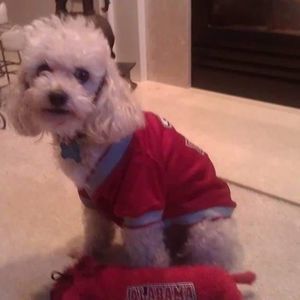 Meet your Posher, John